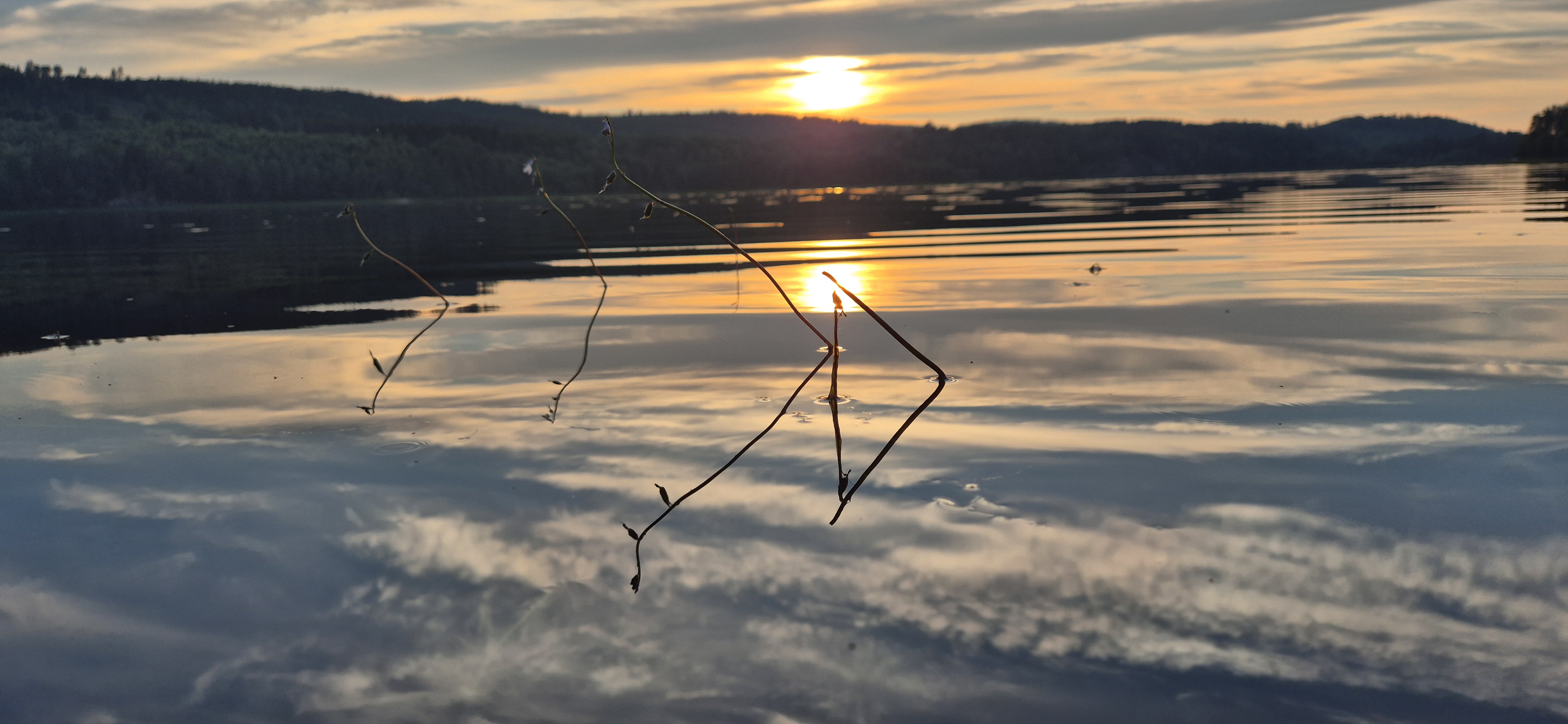 Koppom i Värmland