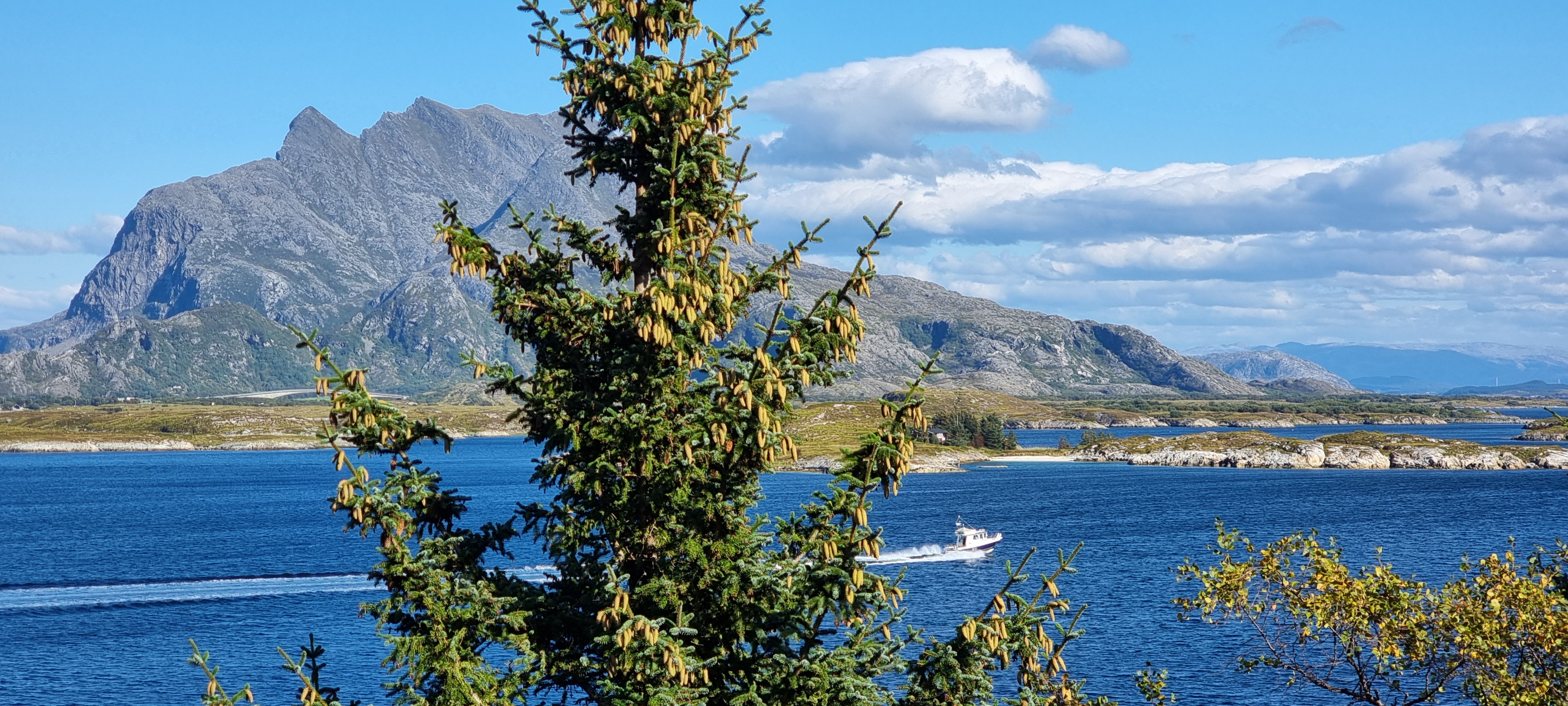 Dønnamannen på Dønna med en båt på fjorden